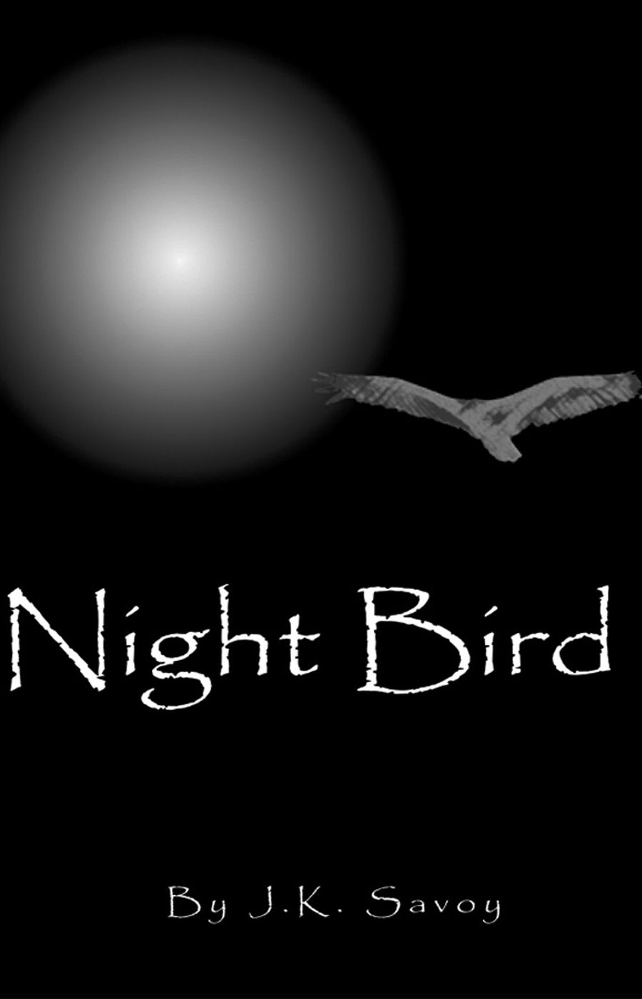 Night Bird cover